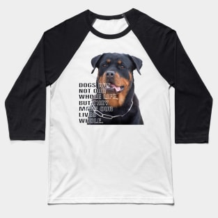 Rottweiler the boss dog Baseball T-Shirt